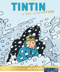 Tintin c'est l'aventure 22