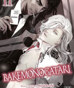 Bakemonogatari T11