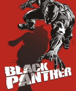 Black Panther - L'Homme le plus dangereux du monde