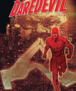 Daredevil Legacy T01