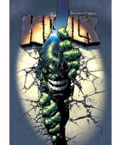 Hulk par Jones et Deodato Jr T02