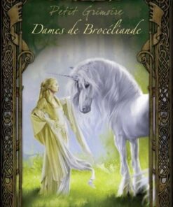 Le petit grimoire légendes des dames de Brocéliande