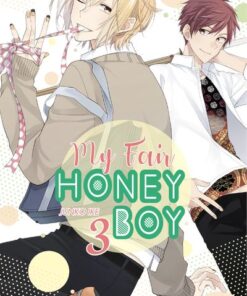 My Fair Honey Boy - tome 3