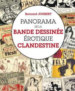 Panorama de la bande dessinée érotique clandestine