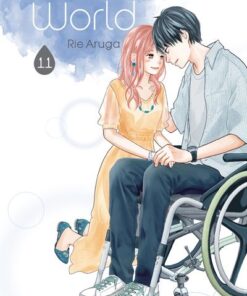 Perfect World - Tome 11 (VF)