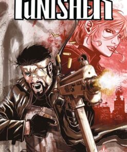 Punisher T02 : la dernière guerre (Nouvelle édition)