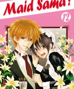 Vol.12 Maid Sama