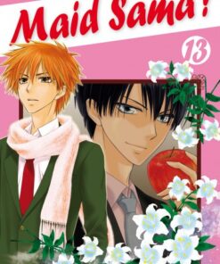 Vol.13 Maid Sama