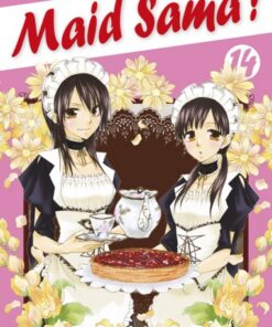 Vol.14 Maid Sama