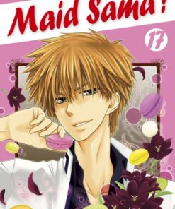 Vol.17 Maid Sama