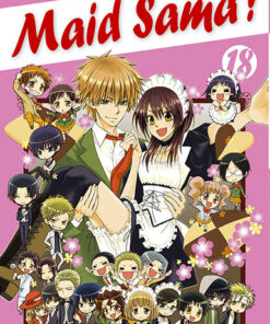 Vol.18 Maid Sama