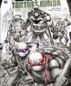 Batman & Les Tortues Ninja Édition limitée - Tome 0