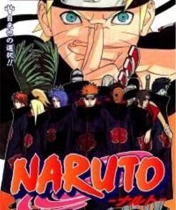 NARUTO Vol.41