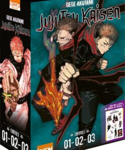 Coffret Jujutsu Kaisen vol. 1 à 3