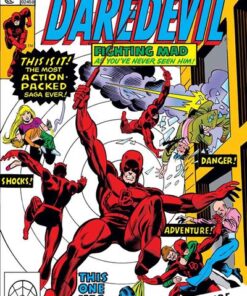 Daredevil : L'intégrale 1976-1977 (T12)