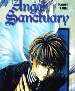 Angel Sanctuary 6