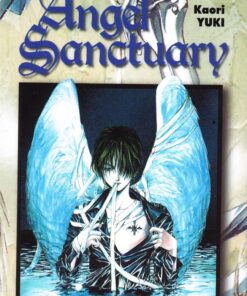 Angel Sanctuary 8