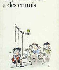 Le Petit Nicolas Tome 5