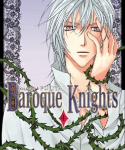 Baroque Knights 4