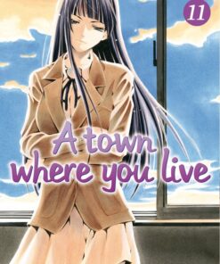 A town where you live 11