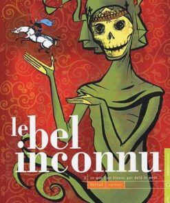 Le Bel inconnu Tome 2