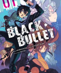 Black Bullet 01