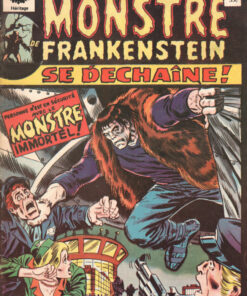 Le Monstre de Frankenstein Tome 13