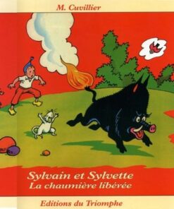 Sylvain et Sylvette Tome 21