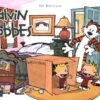 Calvin et Hobbes Original Tome 5