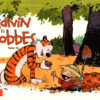 Calvin et Hobbes Hachette BD Tome 3