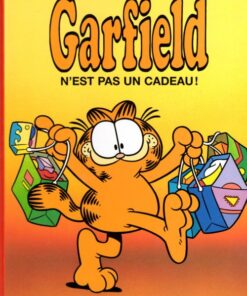 Garfield Tome 17