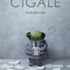 Cigish