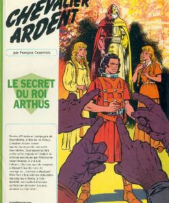 Chevalier Ardent Tome 6