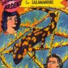 Chevalier Ardent Horus - Rijperman Tome 2