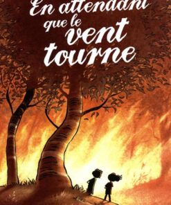 En attendant que le vent tourne